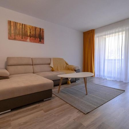 Transylvanian Apt. W/ Lrg. Terrace And Parking - Karpatenhaus Braşov Dış mekan fotoğraf